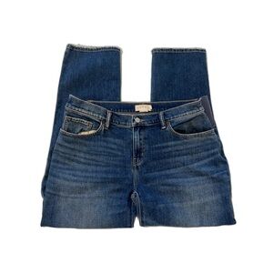 HATCH maternity pants 29